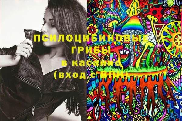 бошки Дмитриев
