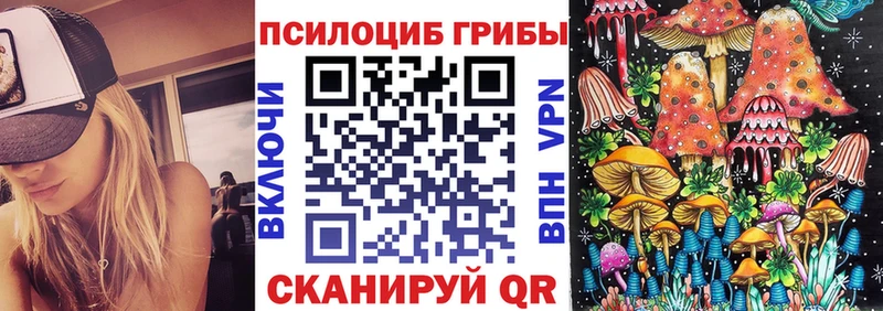 закладка  Пласт  Галлюциногенные грибы мицелий 